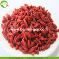 Pacote de Nutrição de Frutas de Fornecimento de Fábrica Goji Berry