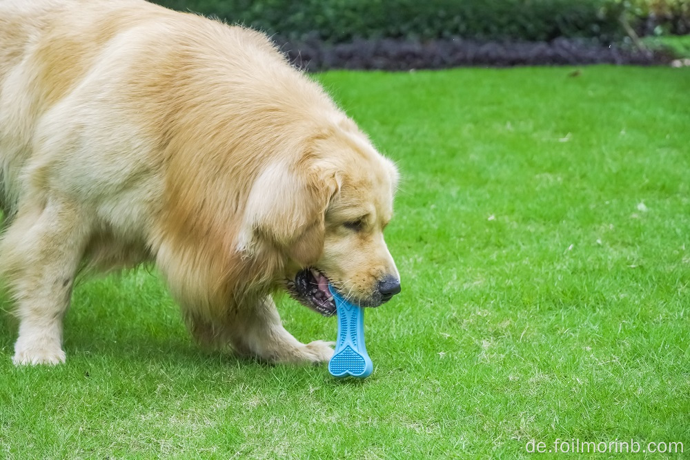 Hundespielzeug Dentalspielzeug für Hunde