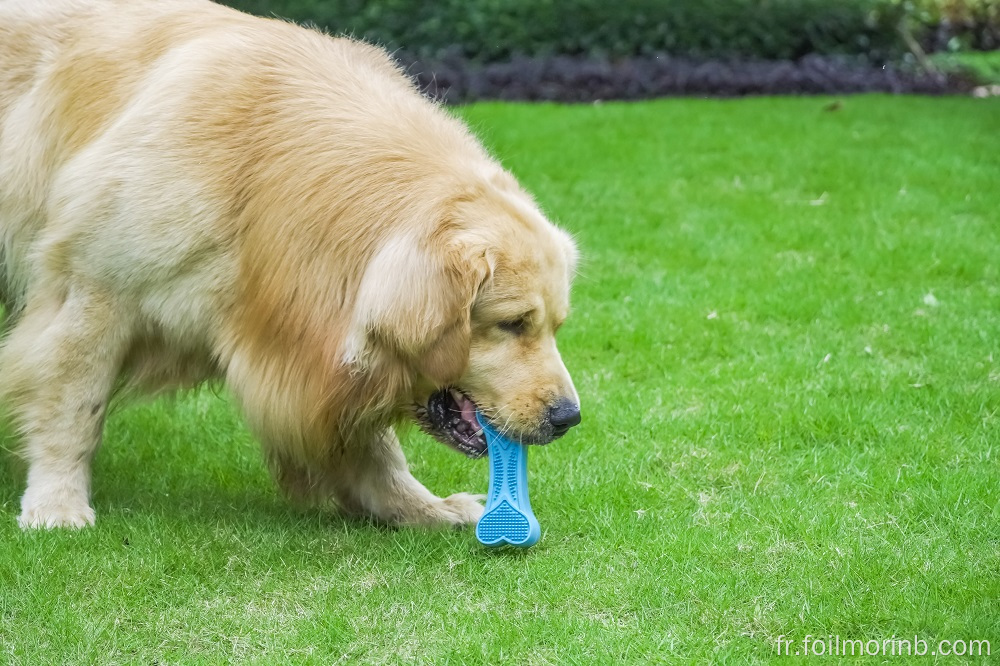 Jouets pour chiens Jouet dentaire pour chien