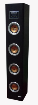 Super digtial FM Speaker