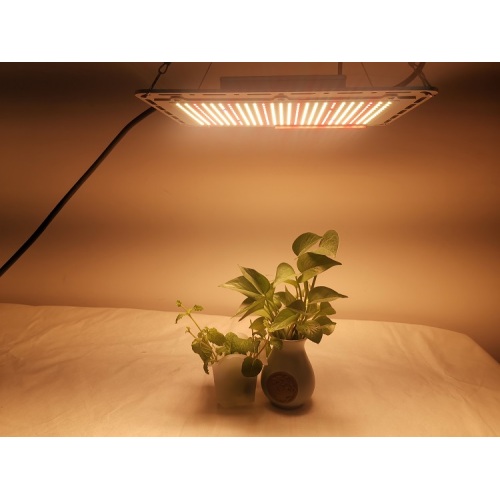 120w 240w diy quantum board led grow light