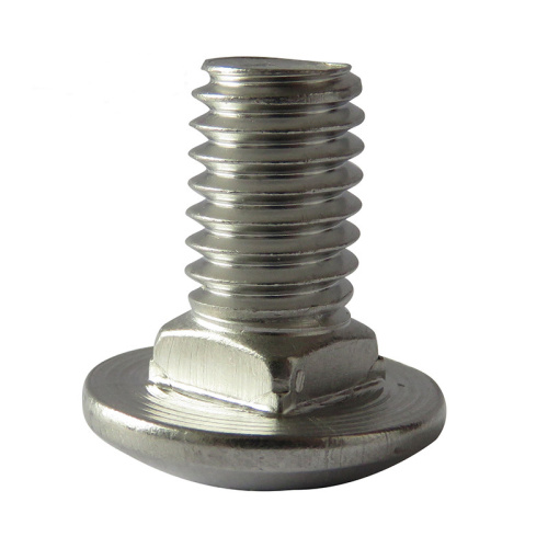 DIN603 Stainless Steel Mushroom Head Square Neck Bolt