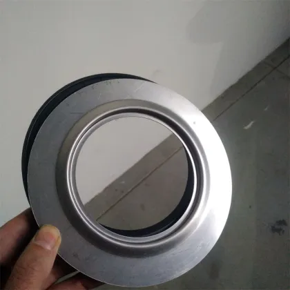 STA VV900D Oil Seal 116*170*14.9 BAOFSFX7 for SAKAI ROLLER Machine