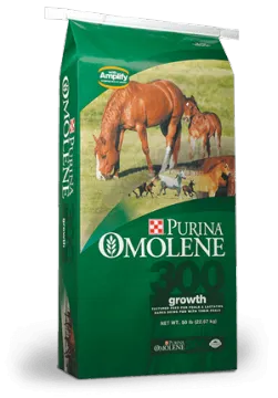 Flat Bottom Packaging Bag For Horse Feeds