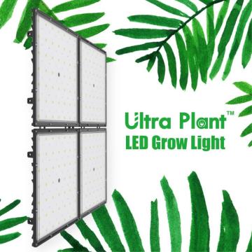 Indoor Full Spectrum Square Far Red Grow Lights