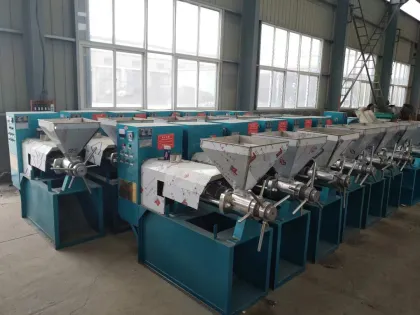 Sunflower Peanut Cooking Oil Cold Pressing Machine | Soybean Rapeseed Oil Press Machine