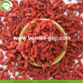 Goede kwaliteit Factory Supply Dried Zhongning Wolfberry
