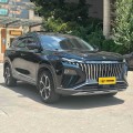 Dongfeng Aeolus Haoji 2022 Mach с двойным двигателем