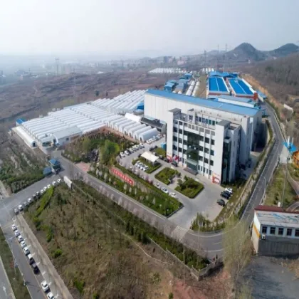 Cultivated frozen shiitake mushroom logs shiitake