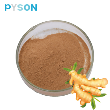 Supply the best price Ginger root Extract