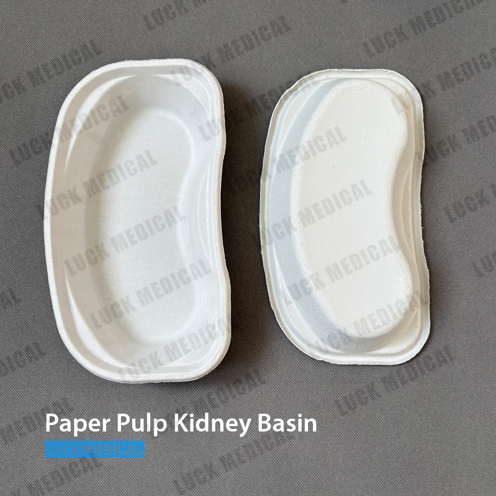 Блюдо из мякоти почек медицинского назначения, 800 мл