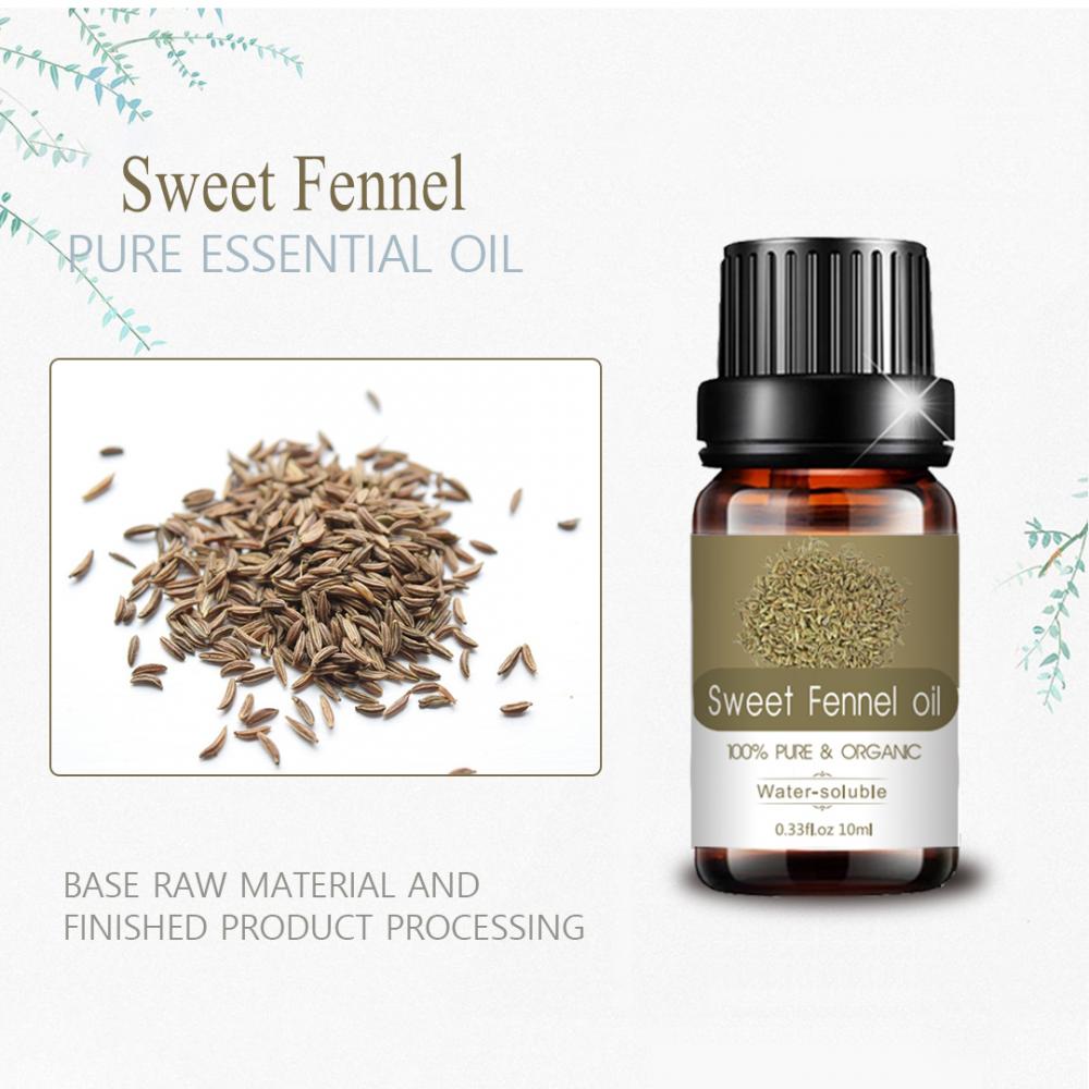 Destilação OEM Sweet Fennel Essential Oil for Flatulence