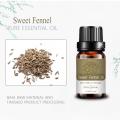 Destilação OEM Sweet Fennel Essential Oil for Flatulence