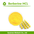 Cortex Phellodendri Extract Berberine HCl Powder 97% Prijs