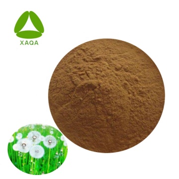 Free Sample Pure Natural Dandelion Root Extract Powder