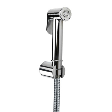Toilet Bidet Shower Spray with Valve, 1.2m Hose, Wall-Mounted, Chrome