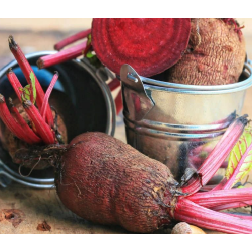 etanin Beetroots Extract