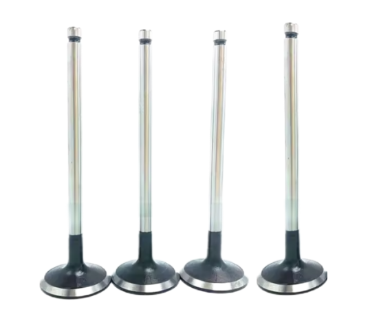 Replacement Engine Intake Valves - Auto Parts