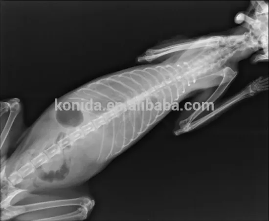 KND-F fuji medical dry film diht dry film for drypix printers