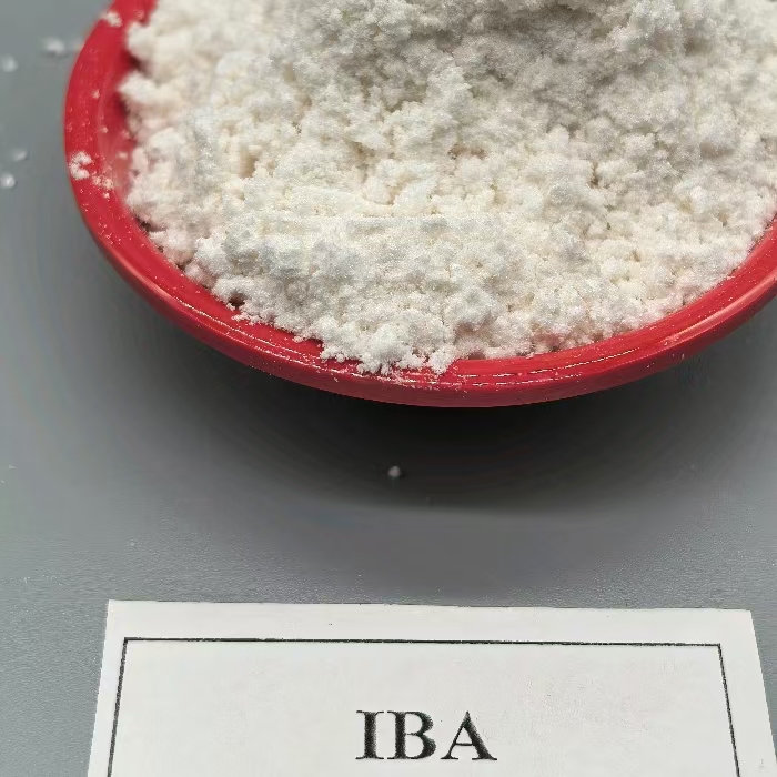 auxin IBA plant growth regulator plant rooting