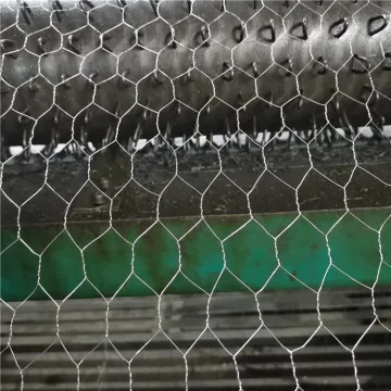 14 Gauge Galvanized Mesh Hexagonal Wire Netting