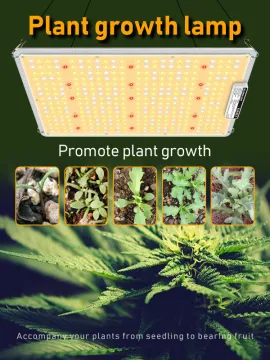 Best 2.4G CCT Grow Light for Indoor Plants