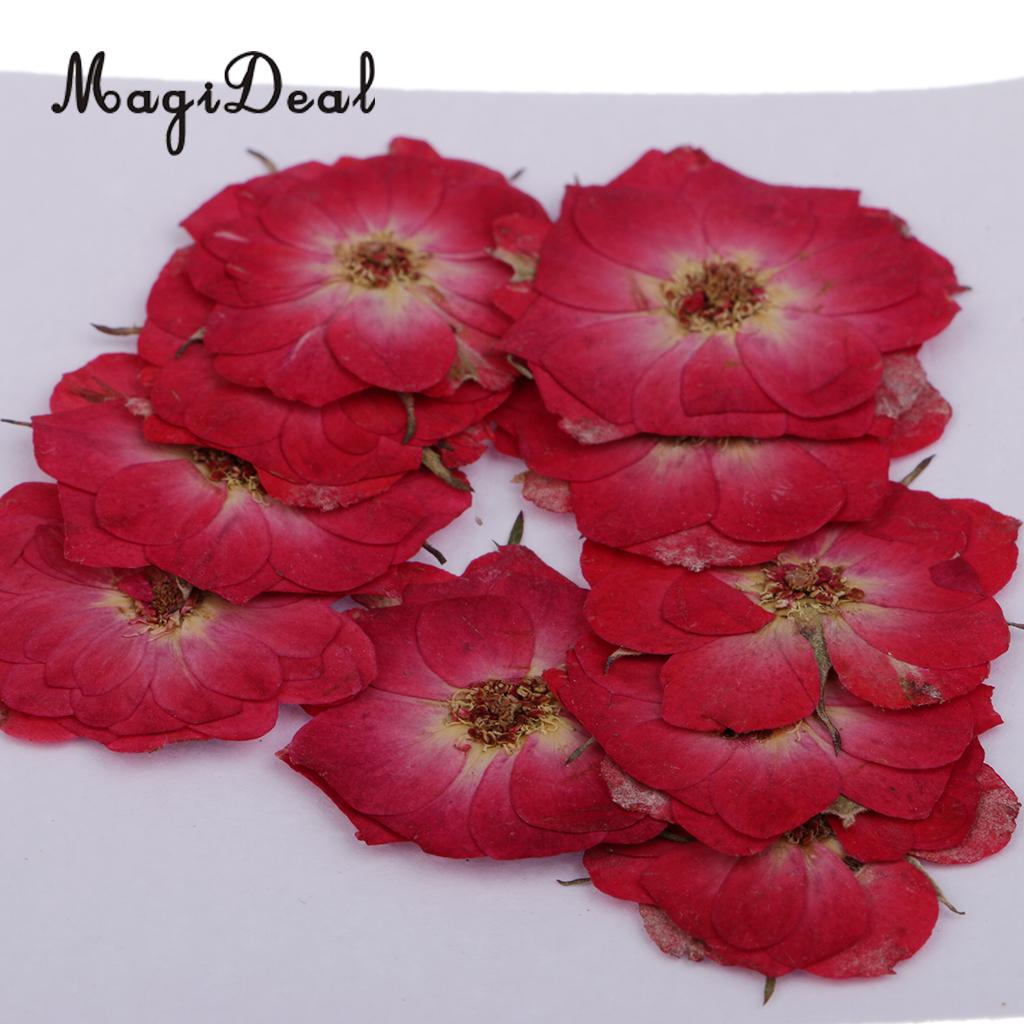 10 Pcs Dried Pressed Flowers for DIY Scrapbooking Crafts Red Rose Decorate Cards Dried Flower House Decoration