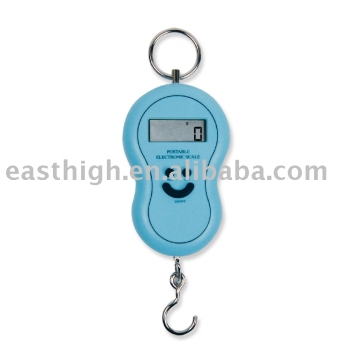 Digital Hanging Scales