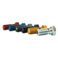 Anodized Aluminum Colored Bolt