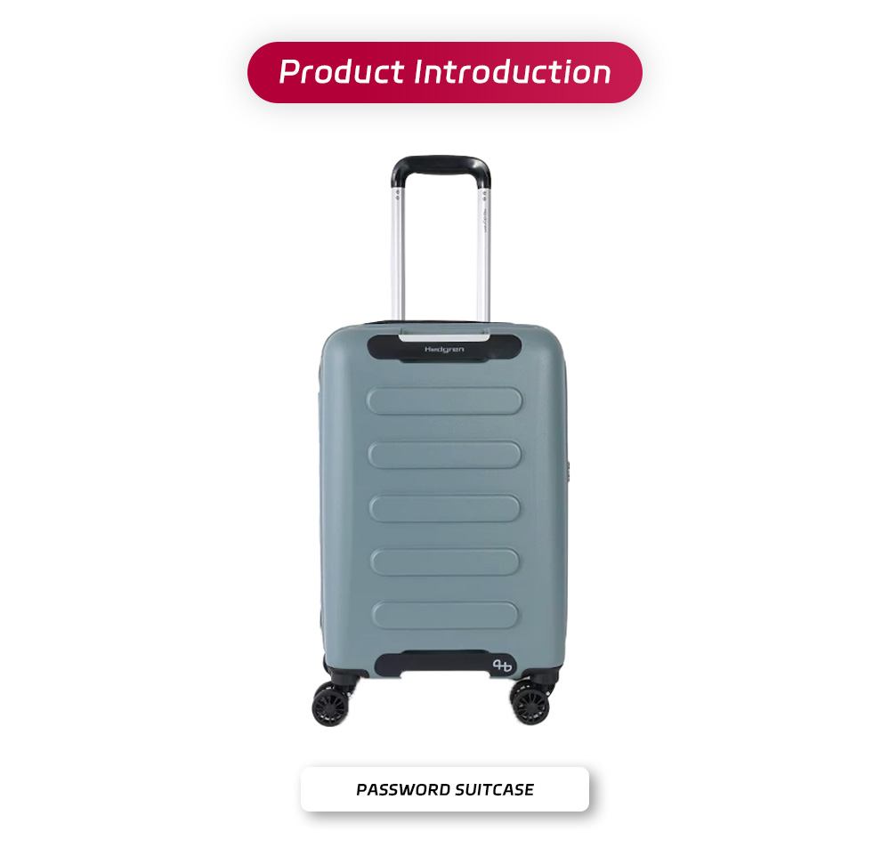 65-Password suitcase-x