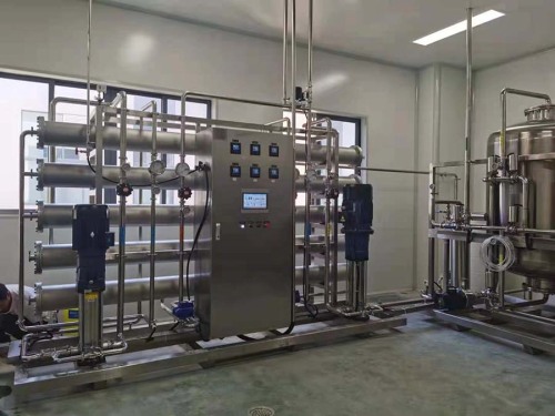 6000L / H EDI High Purify System Water System