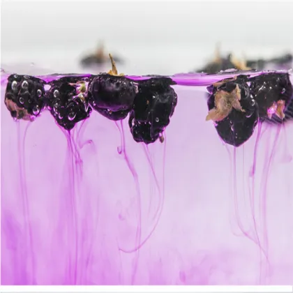 Qinghai Wild Black Goji Berry