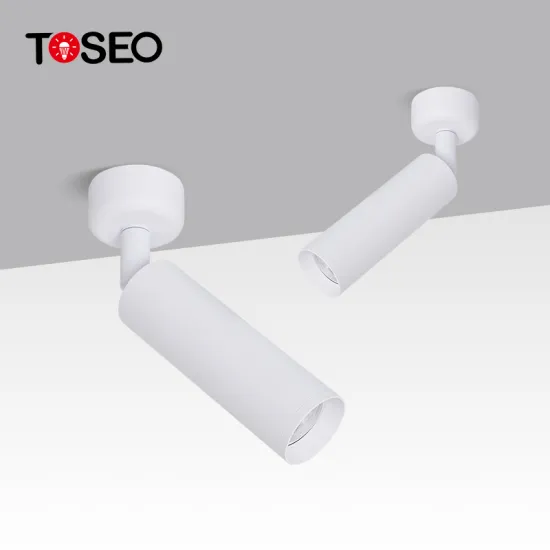 Adjustable 360° Rotation Anti-Glare LED Downlight for Surface Mounting