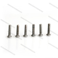 Utu rarawe M3 Porowhita Mahunga Titanium Screws