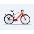 EU Warehouse Electric Bike Lightweight