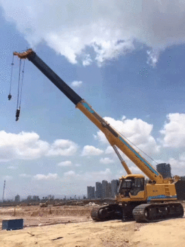 Direct Supply Crawler Telescopic Crane with High Efficiency