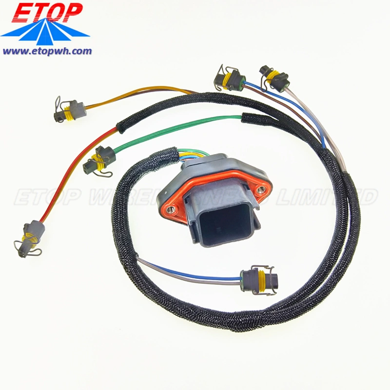 Supply Diesel Engine Fuel Injection Wire Harness with High Quality