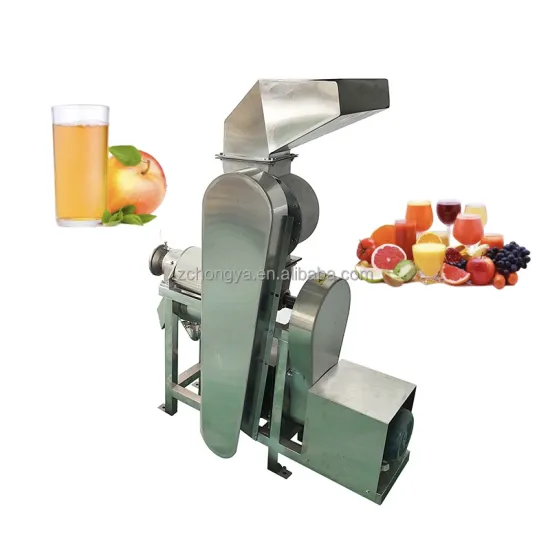 High Speed Large Scale Commercial Pineapple Blueberry Juicer Extractor