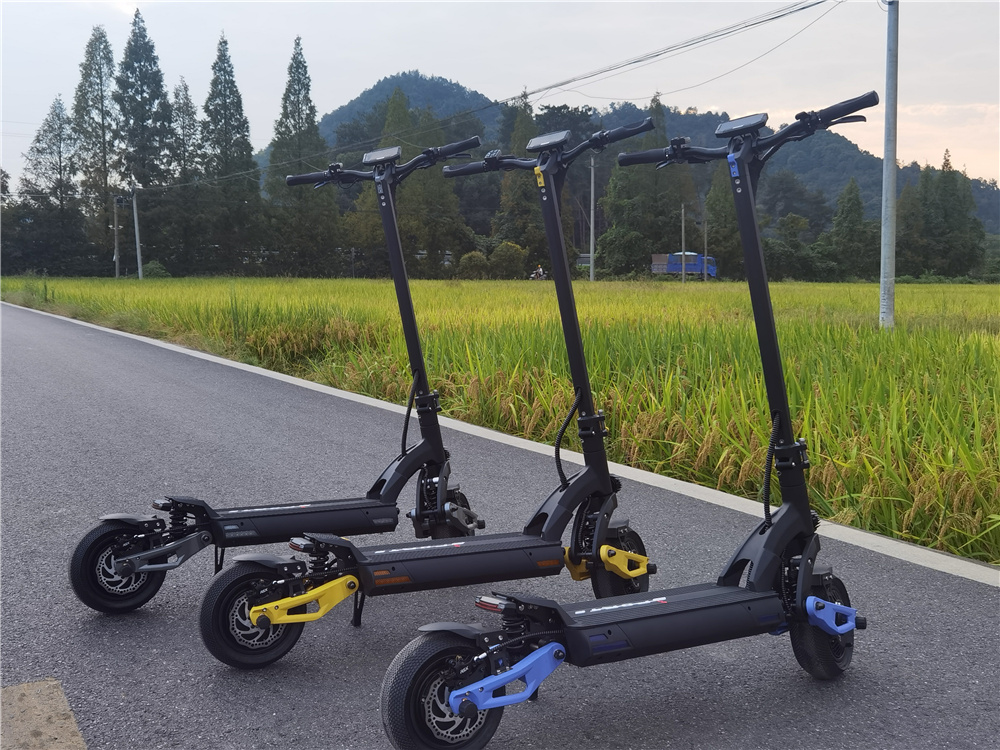 Offroad electric scooter (6)