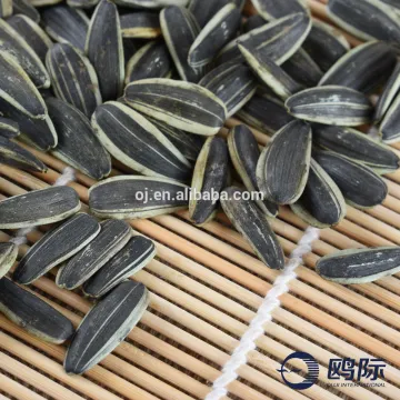 Roasted sunflower seeds with good quality for sale