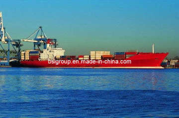 Container Shipping From China to Worldwide