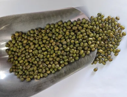 High-Quality Green and Natural Mung Beans - International Source