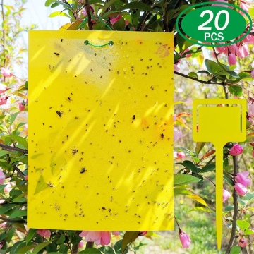 8x6 Inches Yellow Fruit Fly Traps Plastic Sheets for Mosquitoes, Fungus Gnats, and White Flies - Indoor & Outdoor