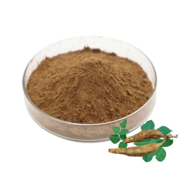 Pueraria Extract/Kudzu Root Extract