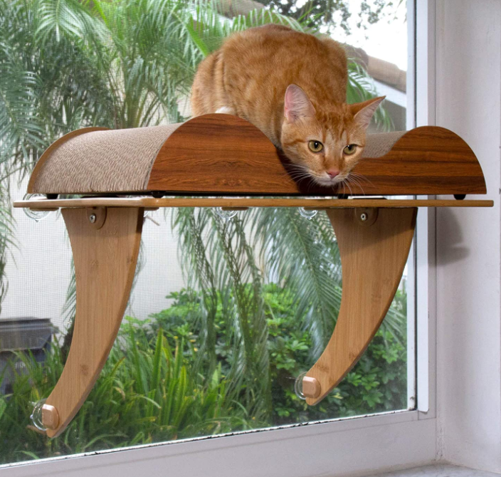 Cat Window Sill