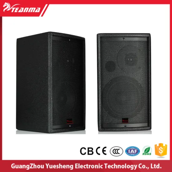 T108 180W single Professional concert stage speaker