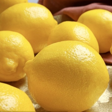 Fresh Citrus Lemon Sour