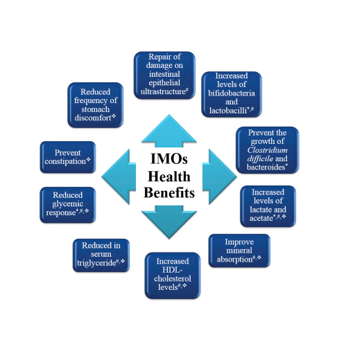 DP3 Organic corn IMO Isomalto-oligosaccharide