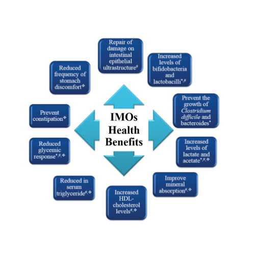 High DP Isomalto Oligosaccharide IMO Powder DP3 IMO900 Isomalto oligosaccharide IMO powder Manufactory