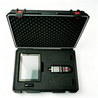 4G Portable Multi-Gas Detector